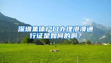 深圳集体户口办理港澳通行证是如何的啊？