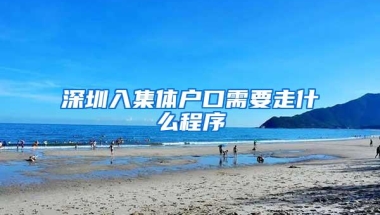 深圳入集体户口需要走什么程序