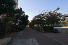 关于调干入深圳户口，你了解多少？