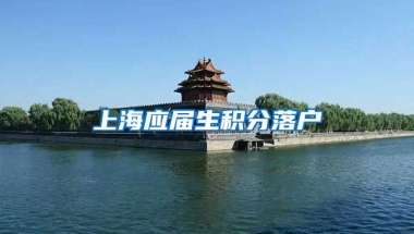 上海应届生积分落户