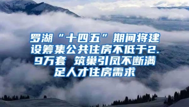 罗湖“十四五”期间将建设筹集公共住房不低于2.9万套 筑巢引凤不断满足人才住房需求