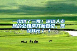 一次推了三批！深圳人专属的公租房开始登记，低至11元／㎡！