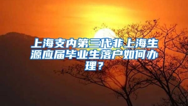 上海支内第三代非上海生源应届毕业生落户如何办理？
