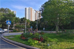 中介不想被曝光的2021年留学生深圳入户深圳秘诀！