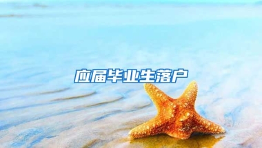 应届毕业生落户