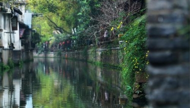 2020年海归落户深圳条件最详流程在这！