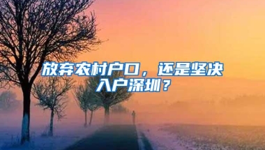 放弃农村户口，还是坚决入户深圳？
