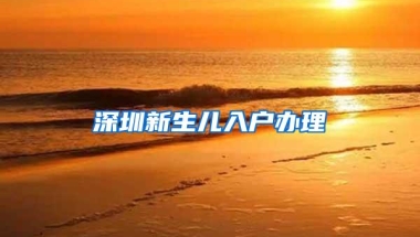 深圳新生儿入户办理