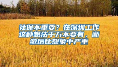 社保不重要？在深圳工作这种想法千万不要有，断缴后比想象中严重