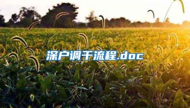 深户调干流程.doc