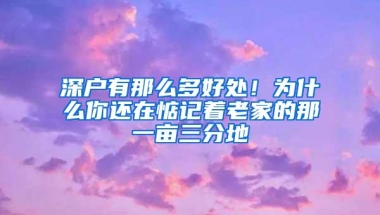 深户有那么多好处！为什么你还在惦记着老家的那一亩三分地