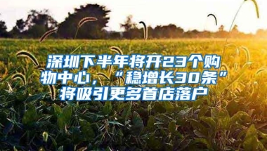 深圳下半年将开23个购物中心，“稳增长30条”将吸引更多首店落户