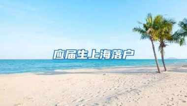 应届生上海落户