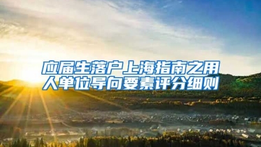应届生落户上海指南之用人单位导向要素评分细则