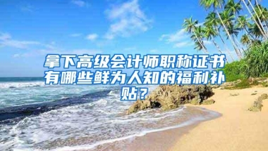 拿下高级会计师职称证书有哪些鲜为人知的福利补贴？