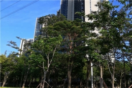 关于深圳留学生落户2021的3个最常见问题！