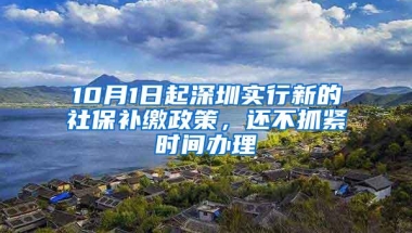 10月1日起深圳实行新的社保补缴政策，还不抓紧时间办理