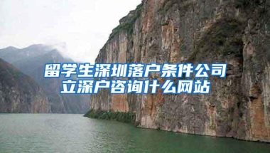留学生深圳落户条件公司立深户咨询什么网站