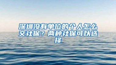 深圳没有单位的个人怎么交社保？两种社保可以选择