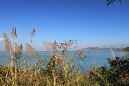 深圳入户核准制入户流程像呼吸一样简单，只要你掌握了这些秘籍！