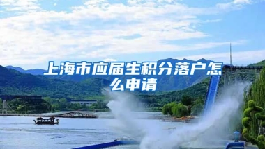 上海市应届生积分落户怎么申请