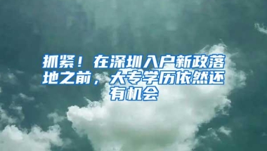 抓紧！在深圳入户新政落地之前，大专学历依然还有机会