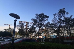 还你了解如何应对深圳集体户口管理，看完涨知识了