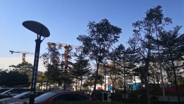 还你了解如何应对深圳集体户口管理，看完涨知识了
