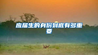 应届生的身份到底有多重要