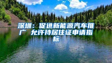 深圳：促进新能源汽车推广 允许持居住证申请指标