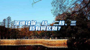 深圳社保一档、二档、三档有何区别？