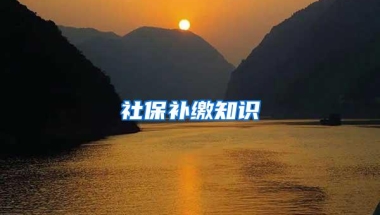 社保补缴知识