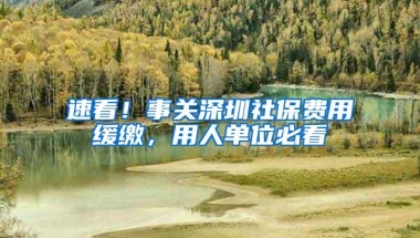 速看！事关深圳社保费用缓缴，用人单位必看