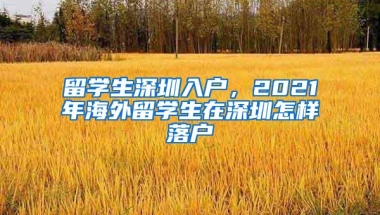 留学生深圳入户，2021年海外留学生在深圳怎样落户