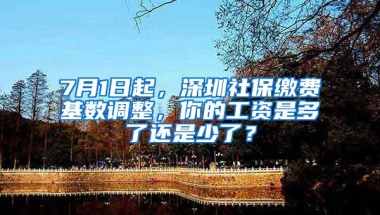 7月1日起，深圳社保缴费基数调整，你的工资是多了还是少了？