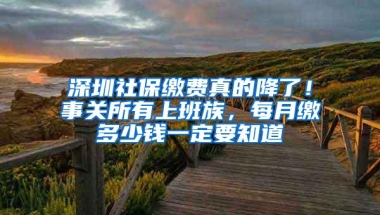 深圳社保缴费真的降了！事关所有上班族，每月缴多少钱一定要知道