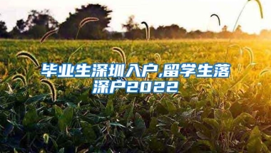 毕业生深圳入户,留学生落深户2022