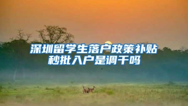 深圳留学生落户政策补贴秒批入户是调干吗