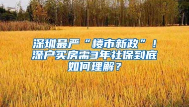 深圳最严“楼市新政”！深户买房需3年社保到底如何理解？