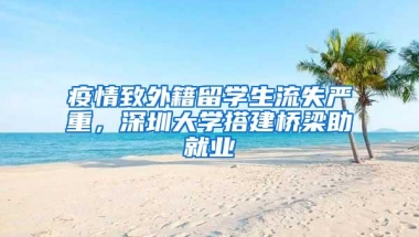 疫情致外籍留学生流失严重，深圳大学搭建桥梁助就业