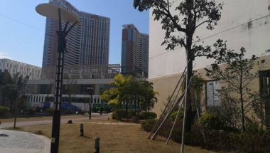 关于深圳核准入户流程你应该知道的！