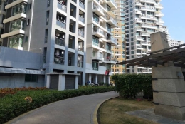 关于2022留学生落户深圳攻略，你需要的知识在这里