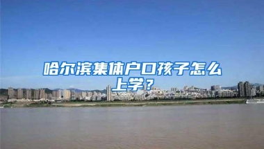 哈尔滨集体户口孩子怎么上学？
