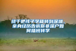 终于把孩子学籍转到深圳，亲身经历告诉你非深户如何插班转学