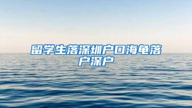 留学生落深圳户口海龟落户深户
