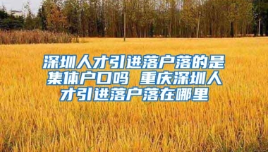 深圳人才引进落户落的是集体户口吗 重庆深圳人才引进落户落在哪里