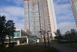 深圳集体户口能随迁子女吗越来越简单，这到底是为什么呢？