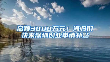总额3000万元！海归们快来深圳创业申请补贴