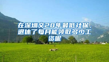 在深圳交20年最低社保，退休了每月能领取多少工资呢