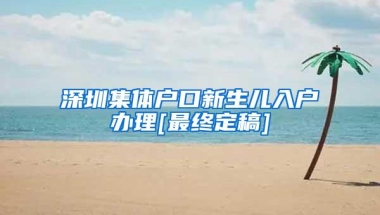 深圳集体户口新生儿入户办理[最终定稿]
